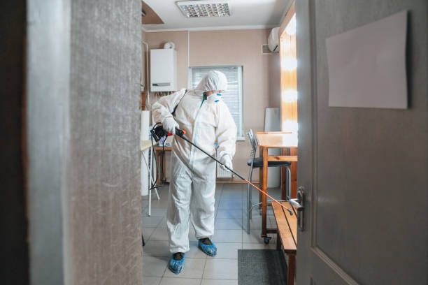 Mold Documentation for Insurance Claims in Richmond Heights, OH