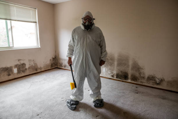 Richmond Heights, OH Mold Inspection, Removal & Remediation Company